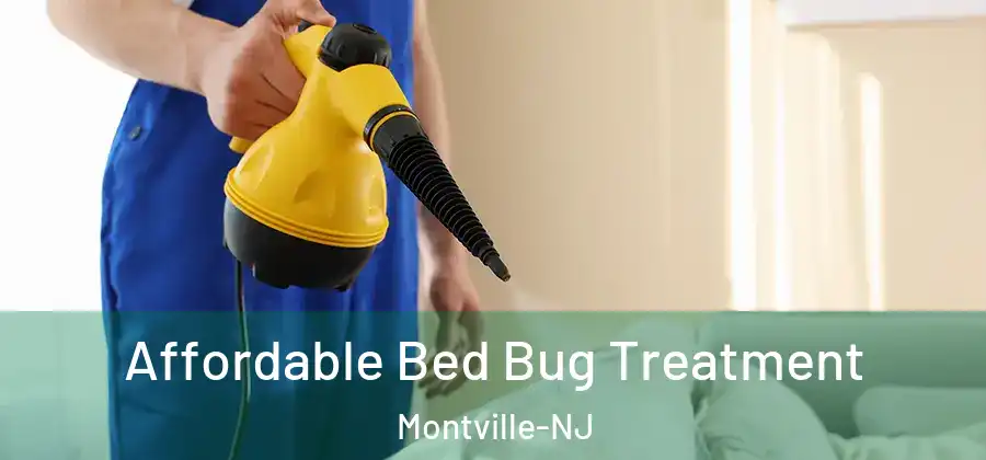 Affordable Bed Bug Treatment Montville-NJ