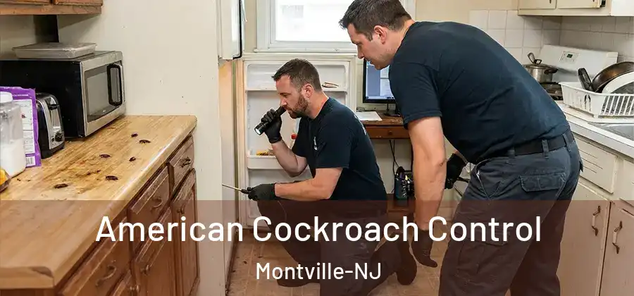 American Cockroach Control Montville-NJ