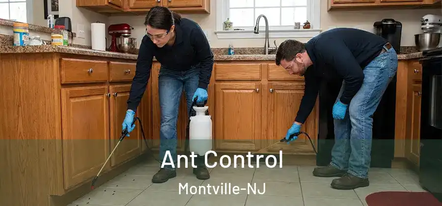 Ant Control Montville-NJ