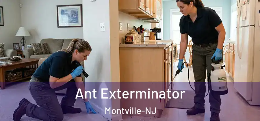 Ant Exterminator Montville-NJ