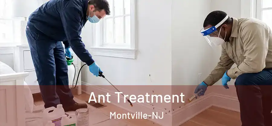  Ant Treatment Montville-NJ