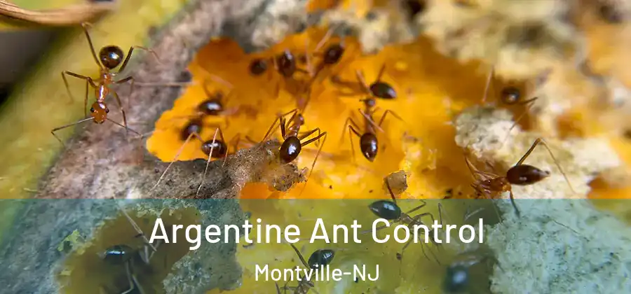 Argentine Ant Control Montville-NJ