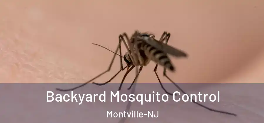  Backyard Mosquito Control Montville-NJ
