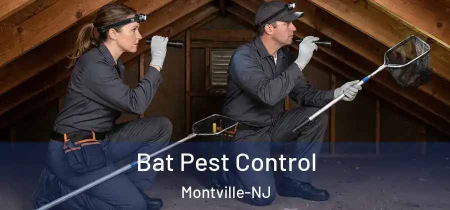 Bat Pest Control Montville-NJ