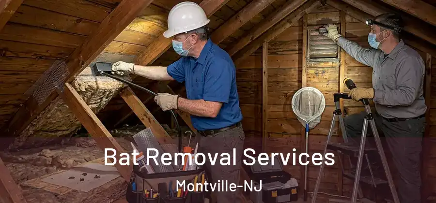 Bat Removal Services Montville-NJ