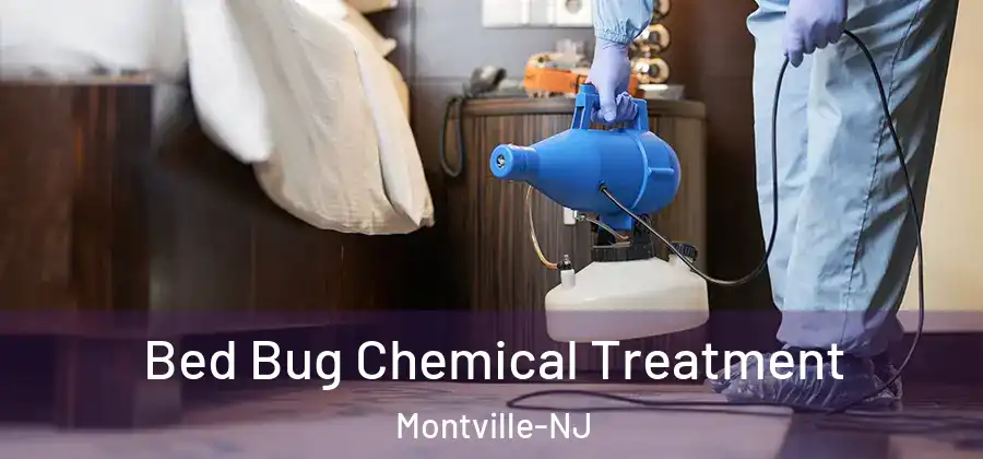 Bed Bug Chemical Treatment Montville-NJ