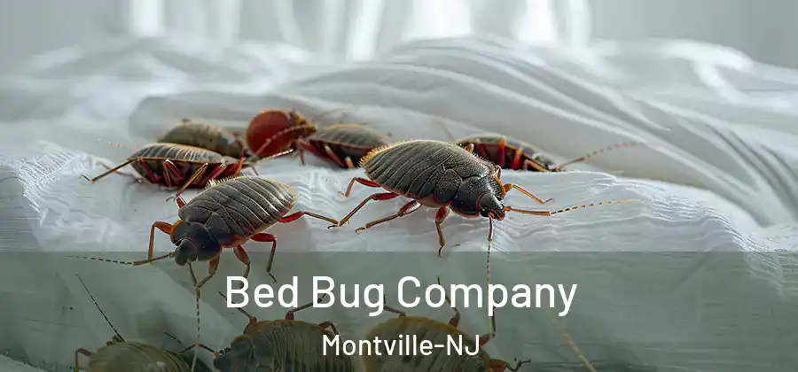 Bed Bug Company Montville-NJ