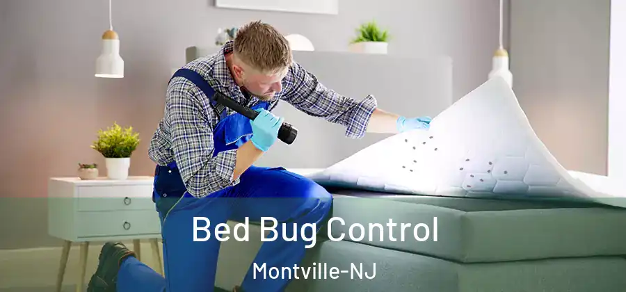 Bed Bug Control Montville-NJ