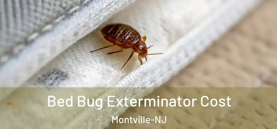  Bed Bug Exterminator Cost Montville-NJ