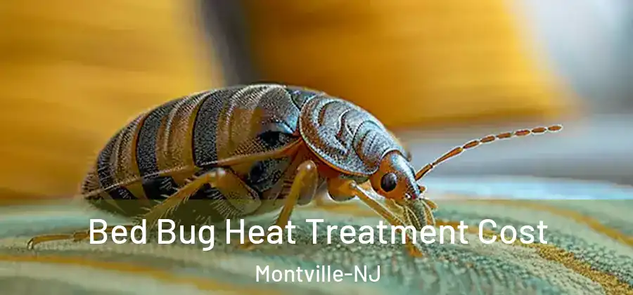  Bed Bug Heat Treatment Cost Montville-NJ