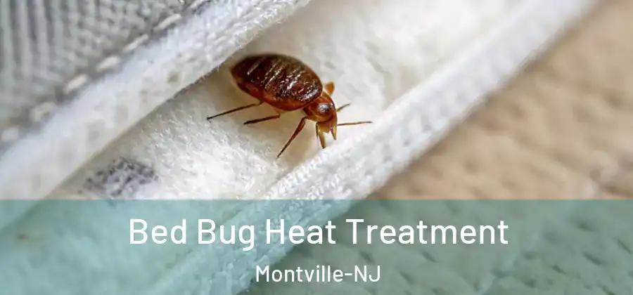 Bed Bug Heat Treatment Montville-NJ
