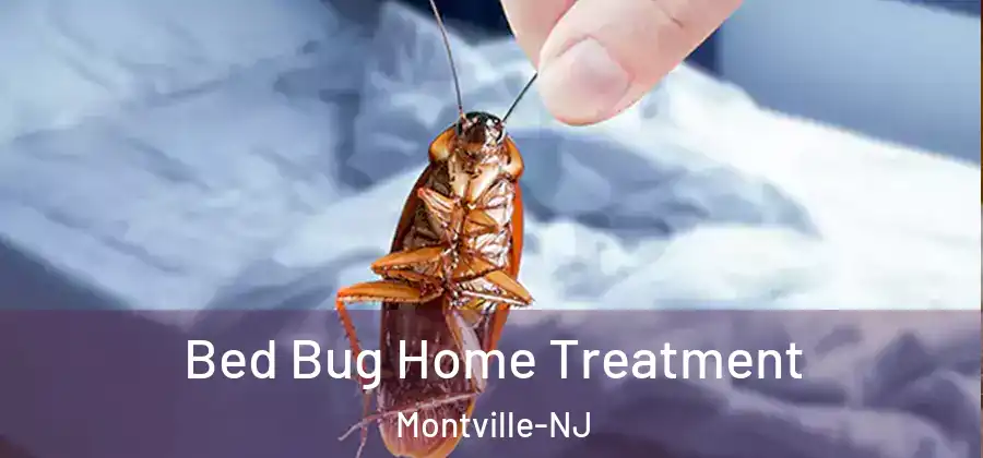  Bed Bug Home Treatment Montville-NJ