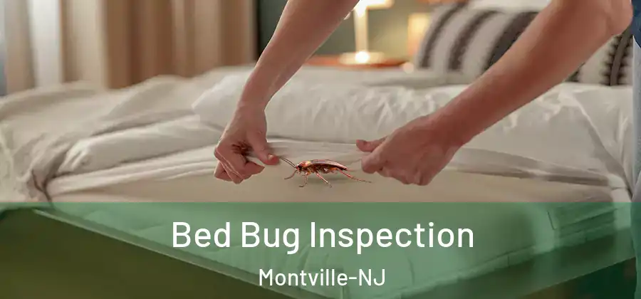 Bed Bug Inspection Montville-NJ