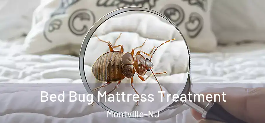 Bed Bug Mattress Treatment Montville-NJ