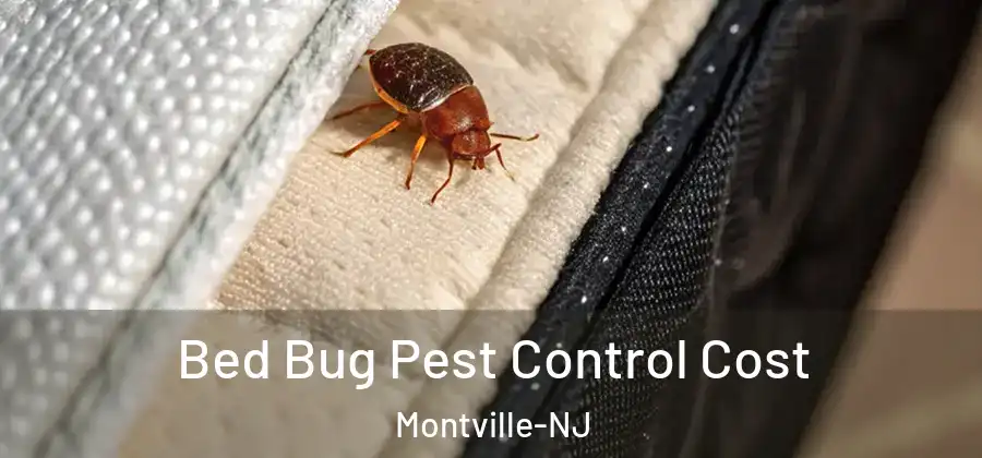 Bed Bug Pest Control Cost Montville-NJ