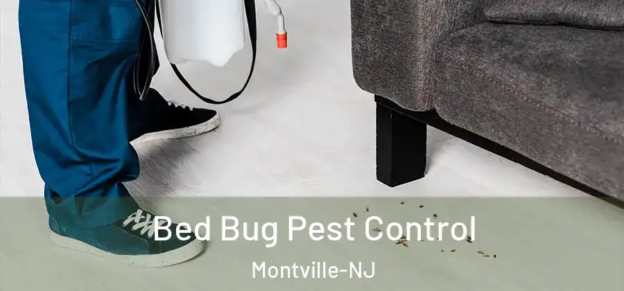  Bed Bug Pest Control Montville-NJ