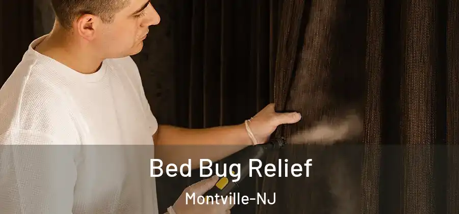  Bed Bug Relief Montville-NJ