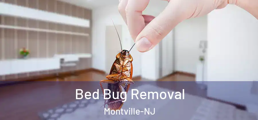 Bed Bug Removal Montville-NJ