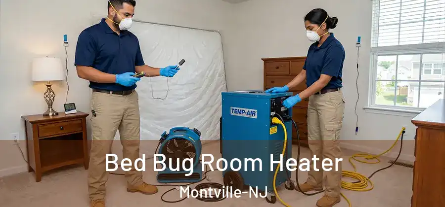 Bed Bug Room Heater Montville-NJ