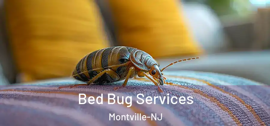 Bed Bug Services Montville-NJ