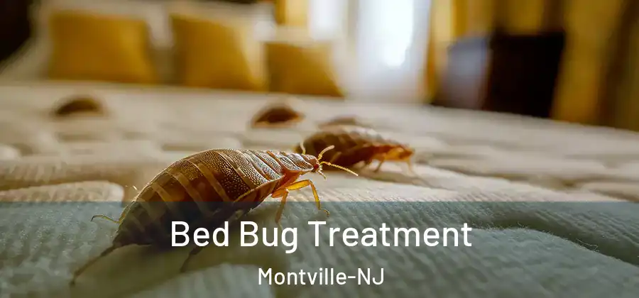 Bed Bug Treatment Montville-NJ