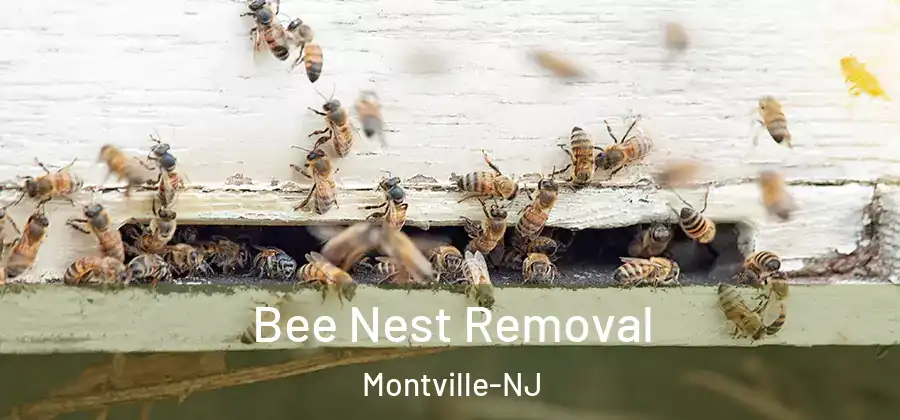  Bee Nest Removal Montville-NJ