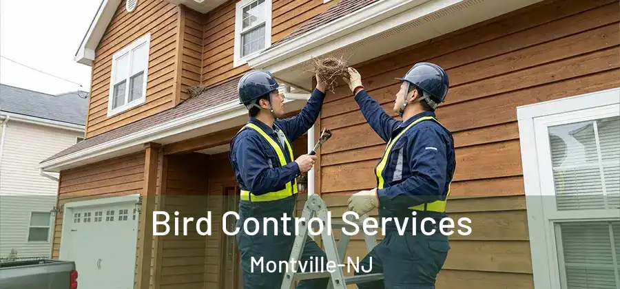  Bird Control Services Montville-NJ