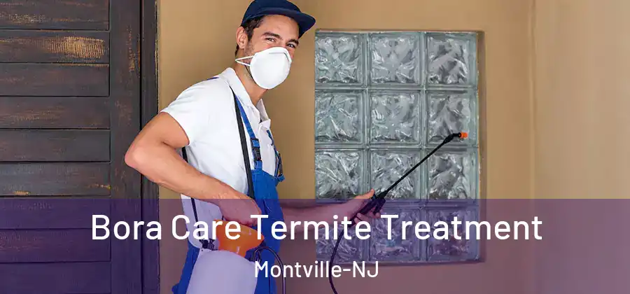  Bora Care Termite Treatment Montville-NJ