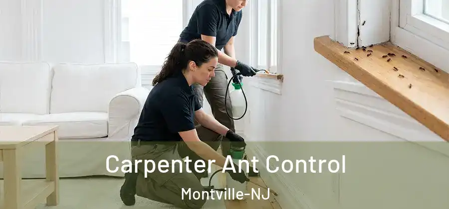  Carpenter Ant Control Montville-NJ