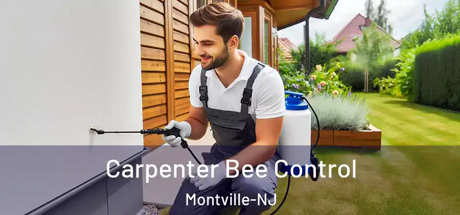 Carpenter Bee Control Montville-NJ