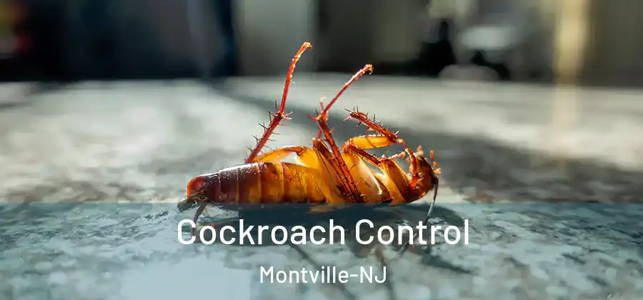 Cockroach Control Montville-NJ