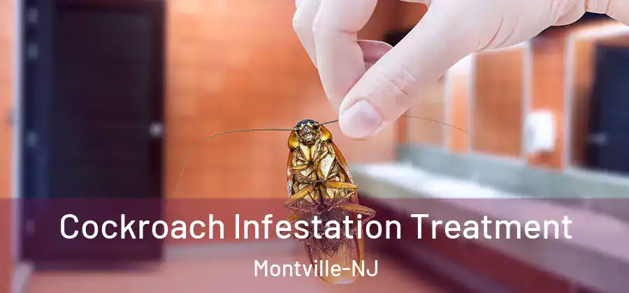 Cockroach Infestation Treatment Montville-NJ