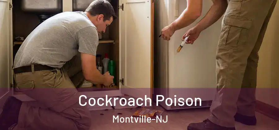 Cockroach Poison Montville-NJ