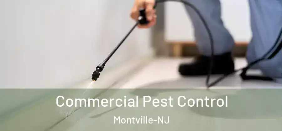  Commercial Pest Control Montville-NJ