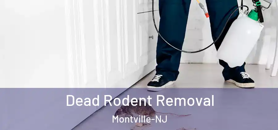  Dead Rodent Removal Montville-NJ
