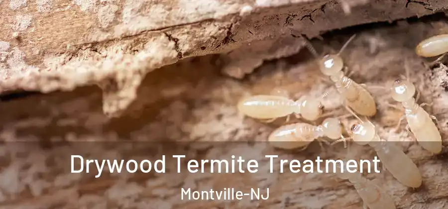  Drywood Termite Treatment Montville-NJ