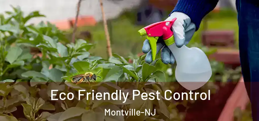 Eco Friendly Pest Control Montville-NJ