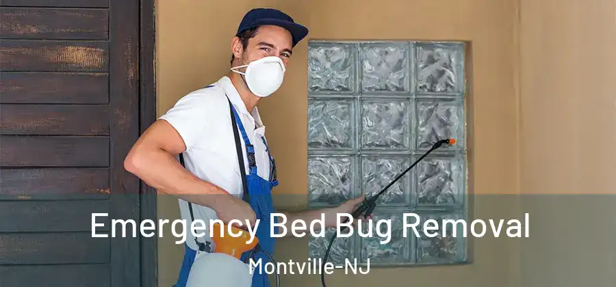 Emergency Bed Bug Removal Montville-NJ