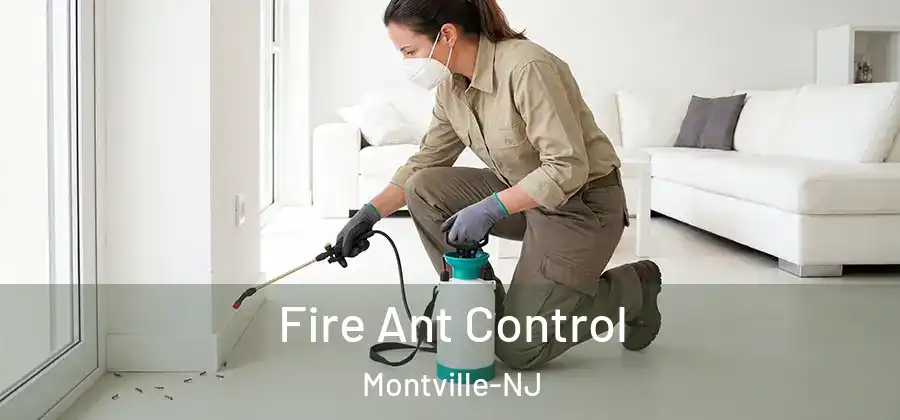  Fire Ant Control Montville-NJ