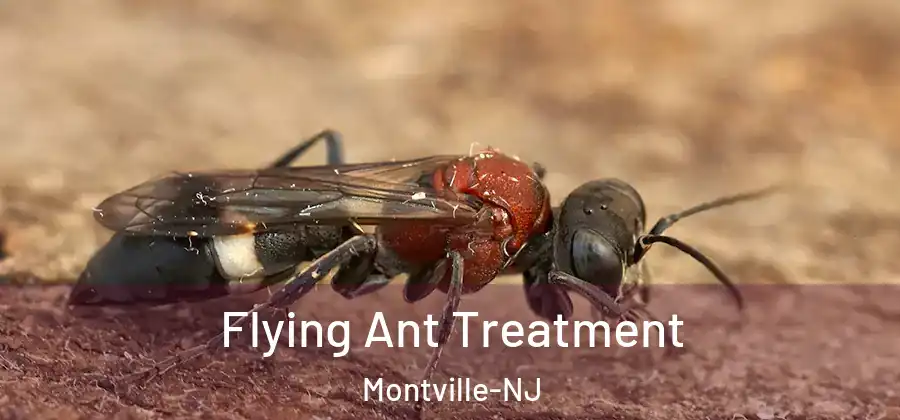 Flying Ant Treatment Montville-NJ