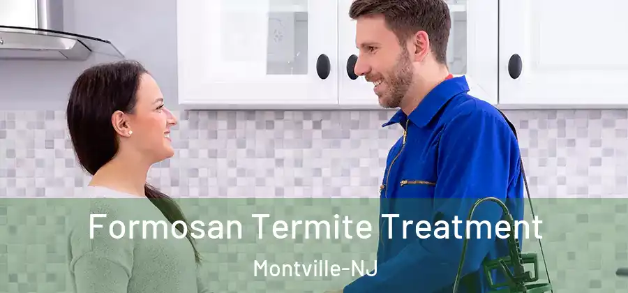Formosan Termite Treatment Montville-NJ