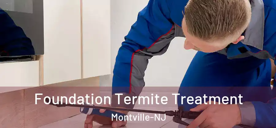  Foundation Termite Treatment Montville-NJ