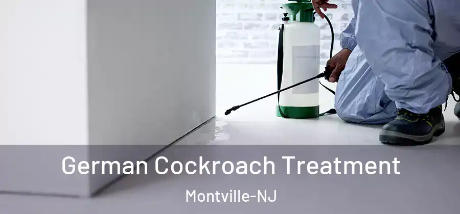  German Cockroach Treatment Montville-NJ