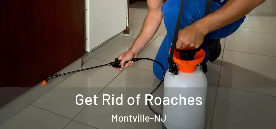  Get Rid of Roaches Montville-NJ