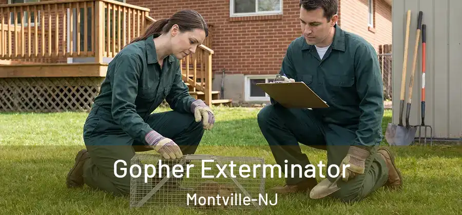 Gopher Exterminator Montville-NJ