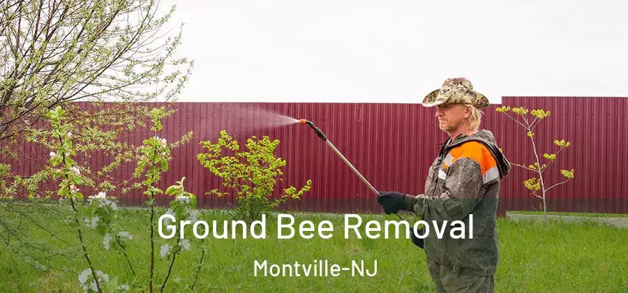 Ground Bee Removal Montville-NJ