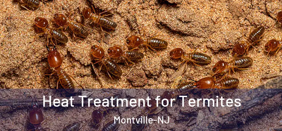  Heat Treatment for Termites Montville-NJ