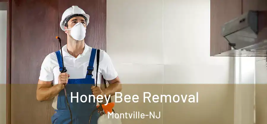  Honey Bee Removal Montville-NJ