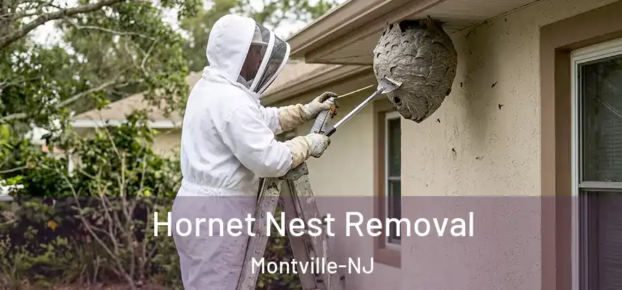  Hornet Nest Removal Montville-NJ