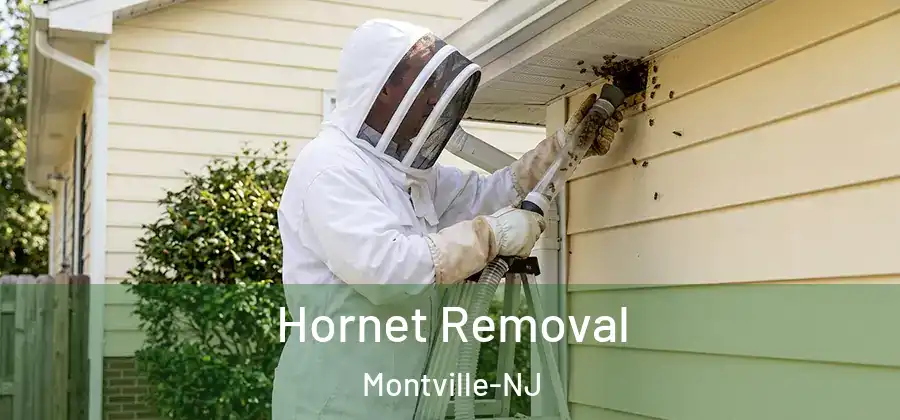  Hornet Removal Montville-NJ